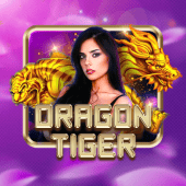 Dragon Tiger playtime app