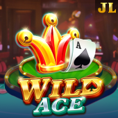 Wild Ace slot playtime app
